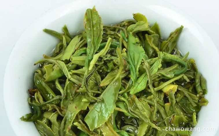 崂山绿茶的种类 崂山绿茶的品牌