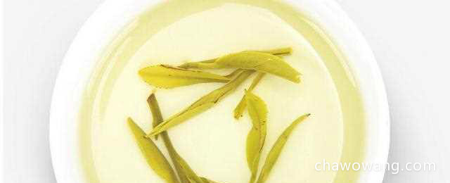 黄茶君山银针的功效，可达到健康养生的效果！