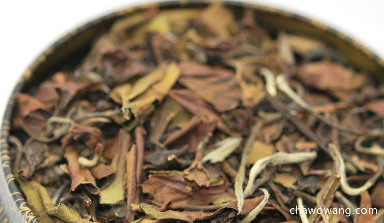 名茶寿眉是什么茶 寿眉茶加工工艺