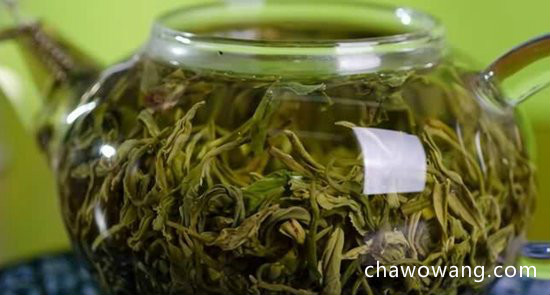经常喝崂山绿茶对身体有什么益处？