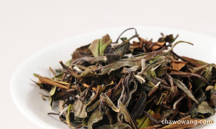 寿眉茶的功效 寿眉茶的营养价值