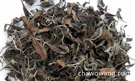 如何煮寿眉茶 老白茶用什么煮好 寿眉茶需要放多少茶叶