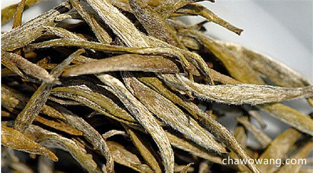 龙井茶的品质鉴别 君山银针的品质鉴别
