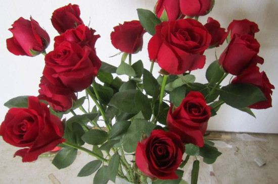 26种常见玫瑰花品种，红玫瑰种类