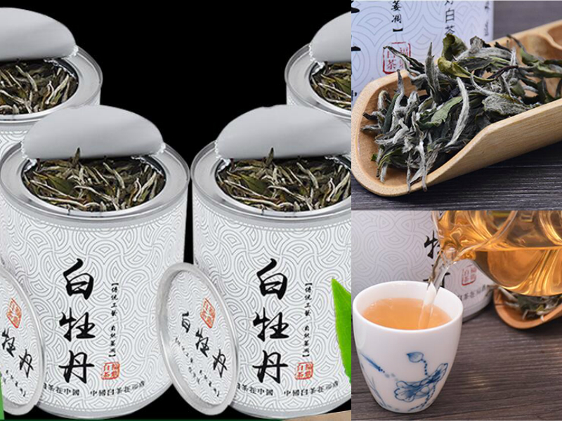 白牡丹茶多少钱一斤3.jpg