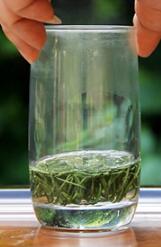 安吉白茶的功效与作用 安吉白茶的泡法