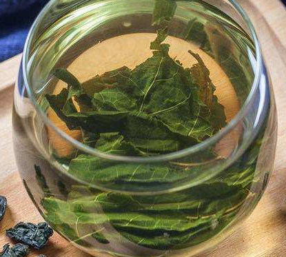 桑叶茶的功效与禁忌 抵抗力差可以喝桑叶茶吗