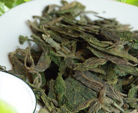 桑叶茶的功效与作用，桑叶茶的食用方法