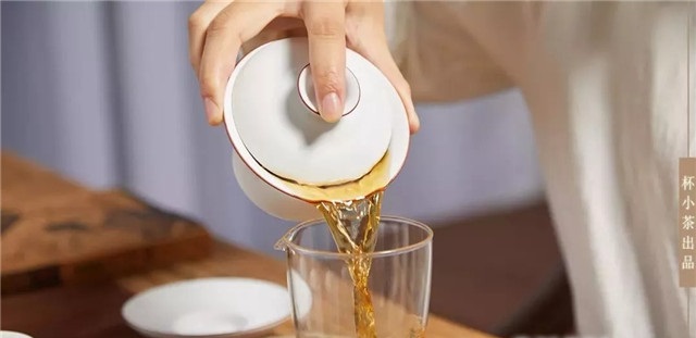 百富茯茶 茯砖茶里的“金花”给茶带来什么改变