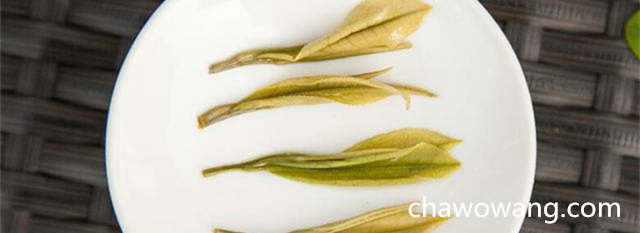 安吉白茶的加工工艺是以绿茶的加工流程为基础，结合安吉白茶的特点加工的。 安吉白茶冲泡要点