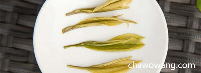 对于安吉白茶，茶树蓬面每平方米达到10-15个标准芽可采时为开采期。 安吉白茶的品质特征