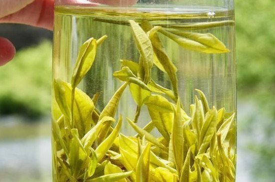 黄山十大名茶，安徽黄山茶叶30个品种