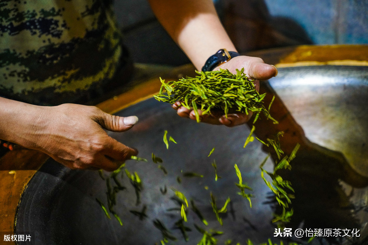 中国十大名茶之首：西湖龙井，挑选指南，附评茶知识