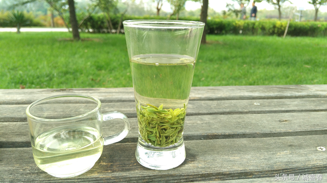 信阳毛尖茶知识：季节与茶叶品质