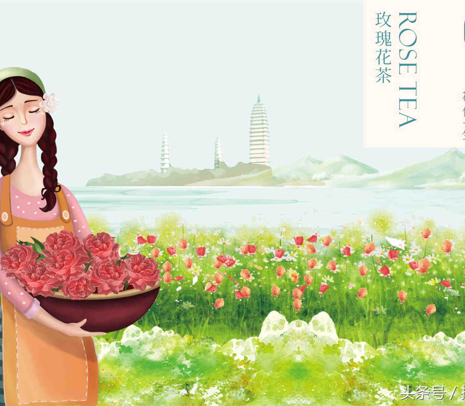 花伴一生-玫瑰花茶玫瑰精油包装设计