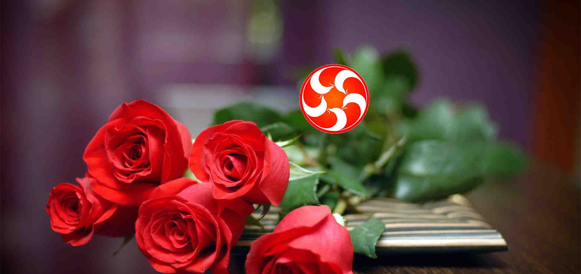 每一朵济南重瓣红玫瑰制成的玫瑰花茶，都渗透着慈悲和爱情