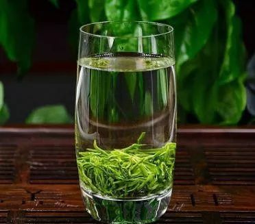 河南人最爱，产地最北的十大名茶，一文讲述信阳毛尖品茶知识
