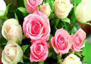浪漫七夕，双生玫瑰，愿你和最爱的她如影随形，一生一世一双人
