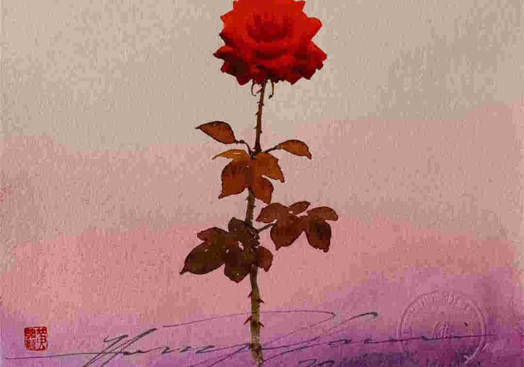 玫瑰送给爱人，让爱和温暖传递