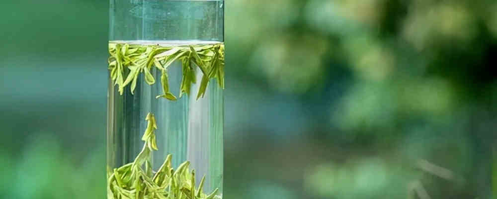 最好的绿茶是什么品种呢？