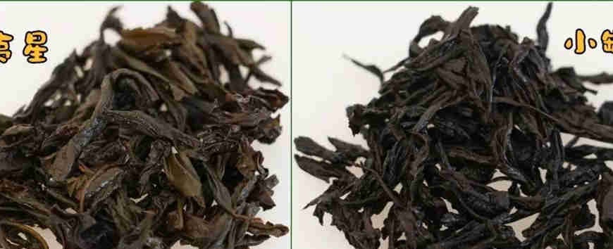 评测 | 小罐茶VS武夷星大红袍，小罐茶是否值这个价？