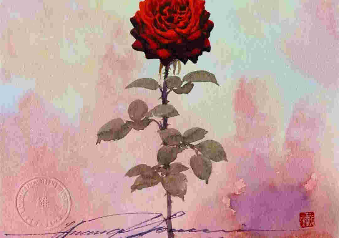 玫瑰送给爱人，让爱和温暖传递