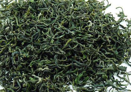 日照绿茶什么时候上市   价格多少钱一斤