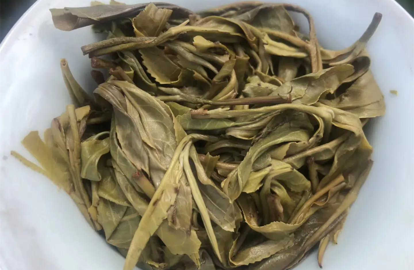 普洱茶图片 2018年老班章古树秋茶开采，相比春茶价格低不少