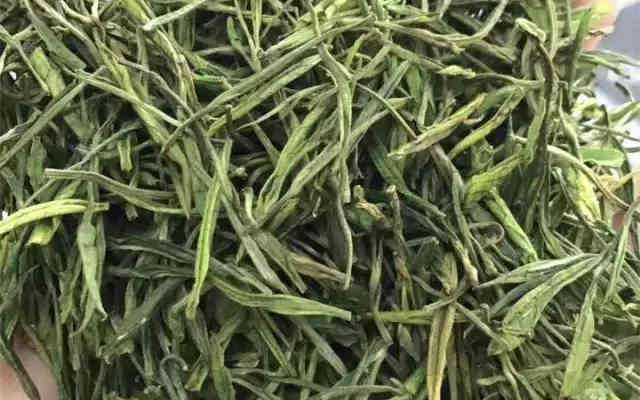 850元/斤的安吉白茶，能买到核心产地的吗？