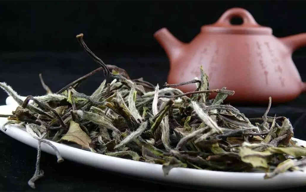 2021白茶价格多少钱一斤？白茶等级是如何划分的？