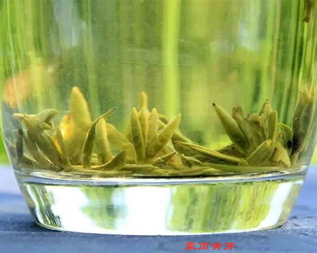 细说黄茶之3大精品→黄芽茶→君山银针、霍山黄芽、蒙顶黄芽