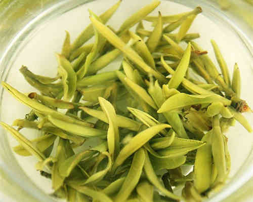 霍山黄芽算是好茶吗？霍山黄芽有什么特点？一般多少钱一斤？