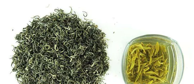 云雾茶属于红茶还是绿茶