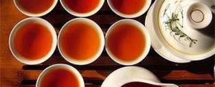 滇红茶价格多少