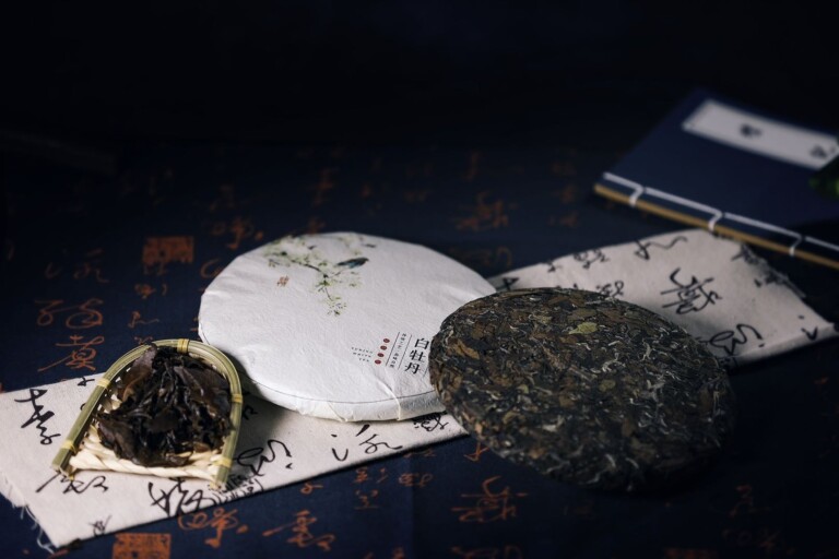 白牡丹茶应该如何保存？储存白牡丹茶的条件与技巧