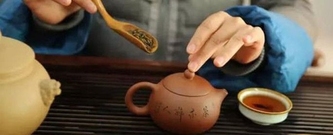 紫砂壶适用于哪些茶叶