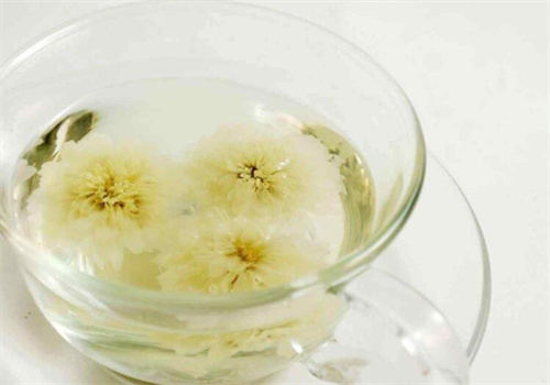 白菊花茶有几种_菊花茶的种类杭白菊